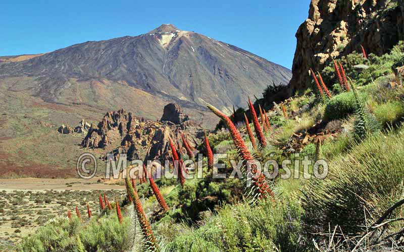 Parque Nacional de El Teide