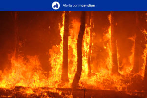 Alerta por Riesgo de Incendios Forestales. NOTICIAS 8 ISLAS