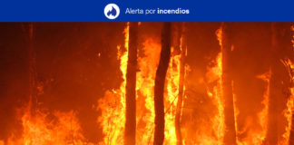 Alerta por Riesgo de Incendios Forestales. NOTICIAS 8 ISLAS