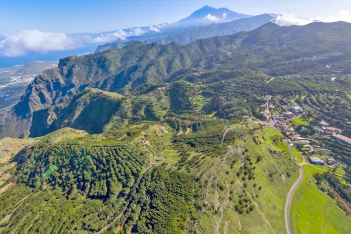 Vista aérea de Tenerife, sector primario. Cedida. NOTICIAS 8 ISLAS