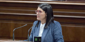 LAna González, diputada del Grupo Parlamentario Socialista por El Hierro. Cedida. NOTICIAS 8 ISLAS.