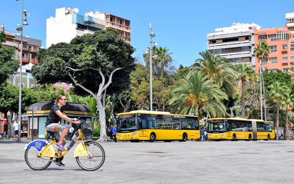 Las Palmas | Guaguas Municipales refuerza las conexiones para facilitar el peregrinaje a Teror