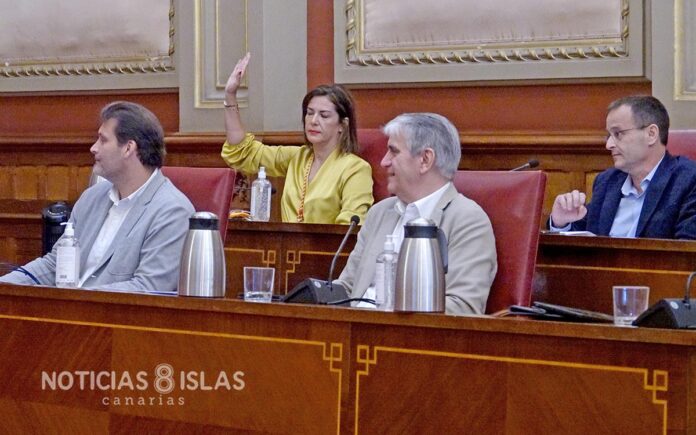 Momento de la votación de la propuesta en favor de mantener el programa Ansina. Trino Garriga. NOTICIAS 8ISLAS.
