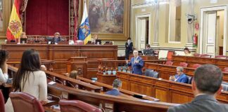 Pleno del Parlamento de Canarias. Trino Garriga. NOTICIAS 8 ISLAS.
