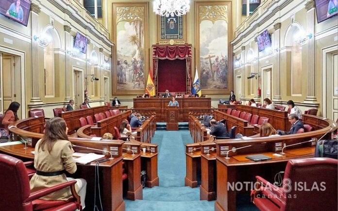 Pleno del Parlamento de Canarias del 10 de junio./ Trino Garriga.