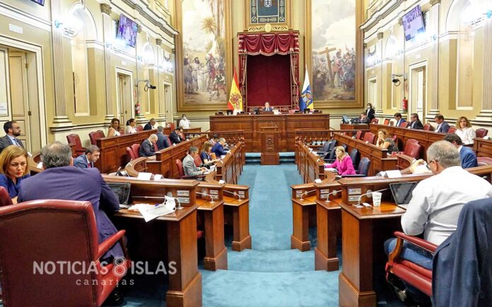 Sesión plenaria del Parlamento de Canarias del 24 de junio. Trino Garriga. NOTICIAS 8 ISLAS.