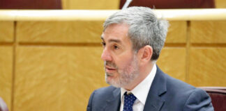 Fernando Clavijo, senador por la Comunidad Autónoma de Canarias. Cedida. NOTICIAS 8 ISLAS.