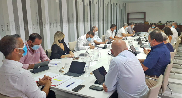 Reunión del Comité Ejecutivo de la Federación Canaria de Municipios (FECAM)./ Cedida.