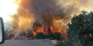 Incendio Forestal en La Palma./ facebook Ayuntamiento de Tijarafe.