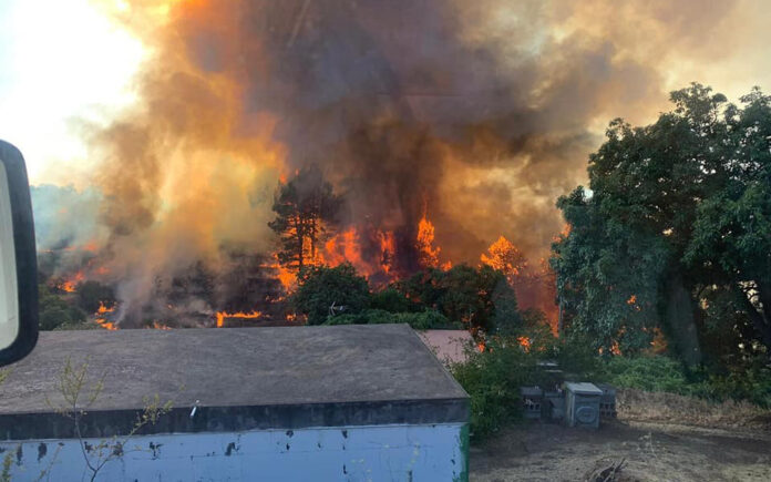 Incendio Forestal en La Palma./ facebook Ayuntamiento de Tijarafe.