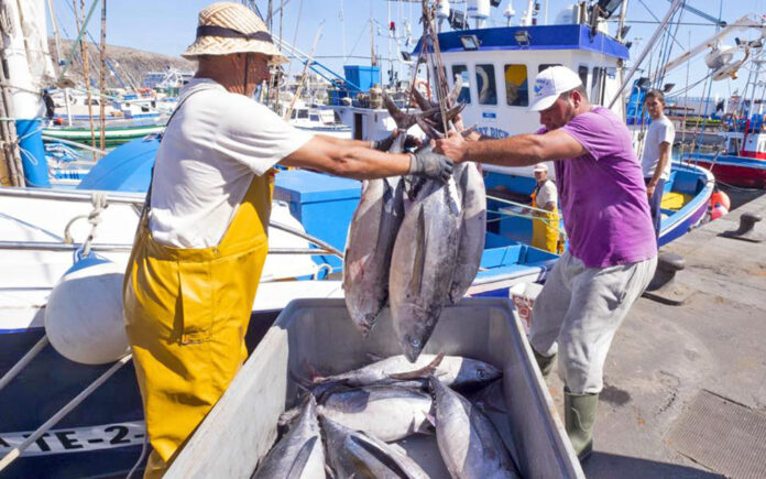 Pesca artesanal en Canarias./ Cedida.