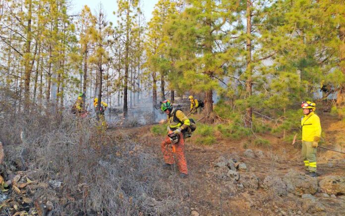 Efectivos de los Equipos de Intervención y Refuerzo en Incendios Forestales de Gesplan actuando en la zona./ Gesplan.