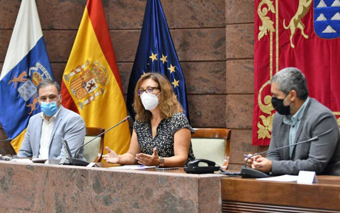 Un instante de la sesión celebrada hoy en el Parlamento de Canarias./ Cedida.