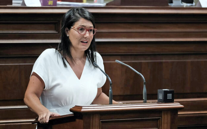 Ana González, portavoz de Educación del Grupo Parlamentario Socialista./ Cedida.