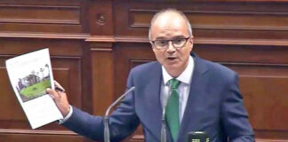 José Alberto Díaz-Estébanez León, diputado nacionalista en el Parlamento de Canarias./ Cedida.
