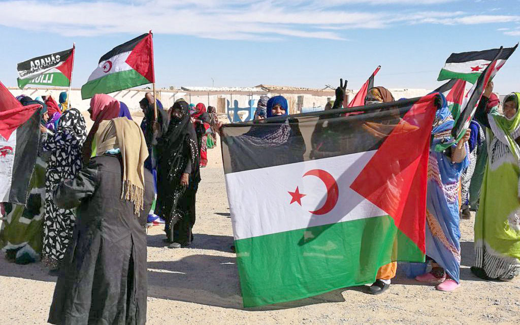 PNC Tenerife alerta sobre la situación del Sahara Occidental 60 años después de la Resolución 1514