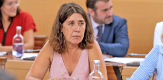 Blanca Pérez, consejera de CC-PNC en el Cabildo Insular de Tenerife./ noticias8islas.com