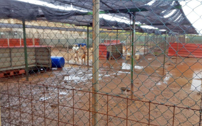 Estado en el que quedaron las instalaciones del Centro de Protección Animal de Tierra Blanca tras las lluvias./ Cedida.