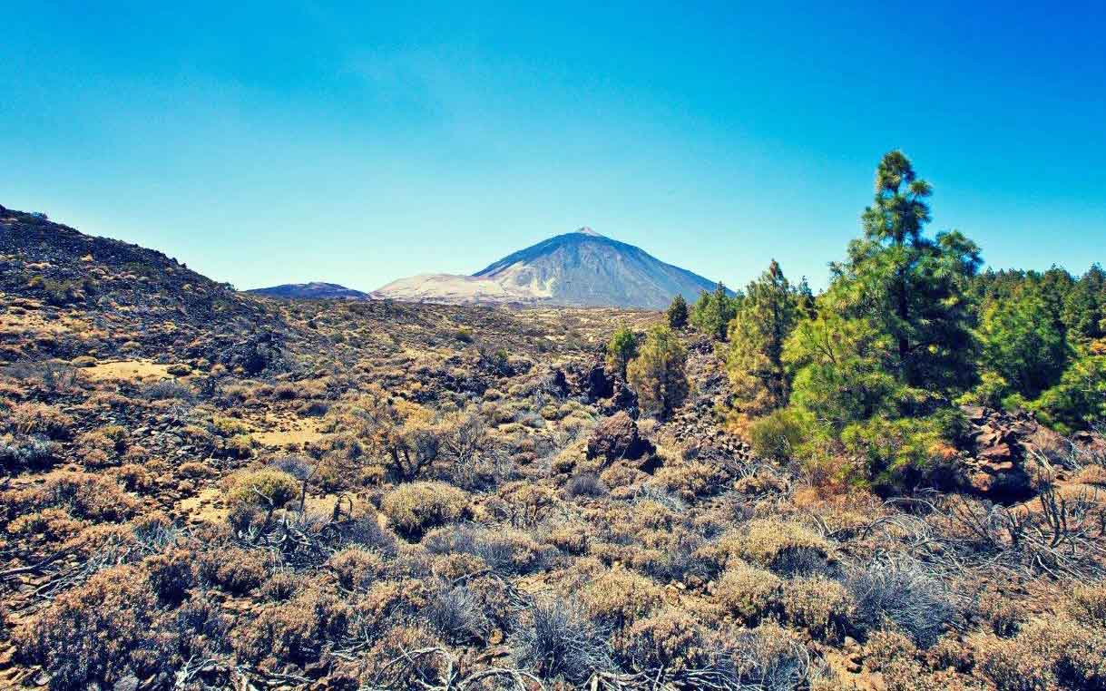 NC pide un proceso más representativo del plan de gestión del Parque Nacional del Teide