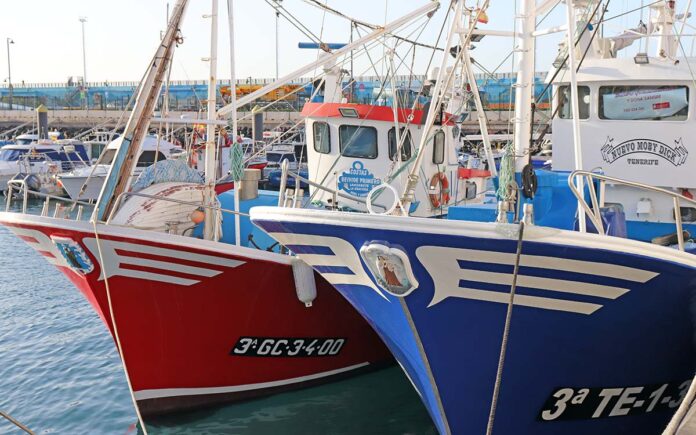 Barcos de pesca sostenible./ Cedida.