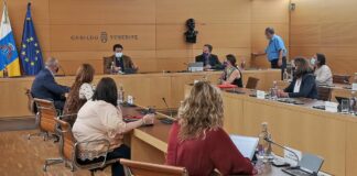 Sesión extraordinaria del Pleno del Cabildo de Tenerife del 13 de abril./ Cedida.