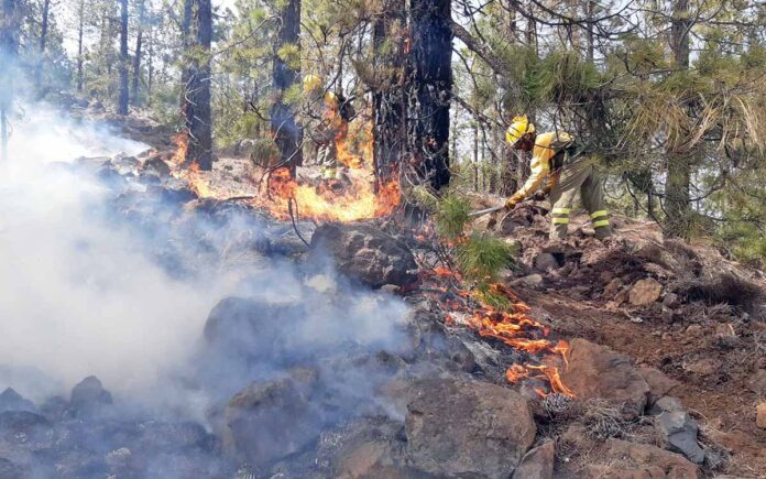 Incendio forestal de Arico./ Foto ATBRIF.