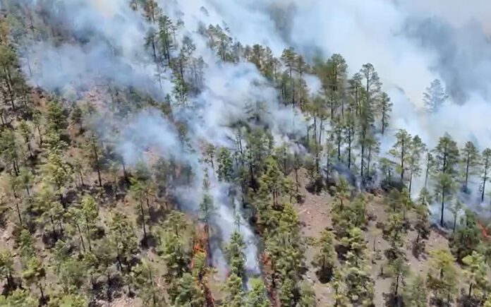 Incendio forestal de Arico./ 112.