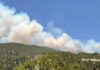 Incendio forestal en Arico, Tenerife./ Cedida.