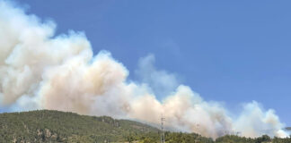Incendio forestal en Arico, Tenerife./ Cedida.