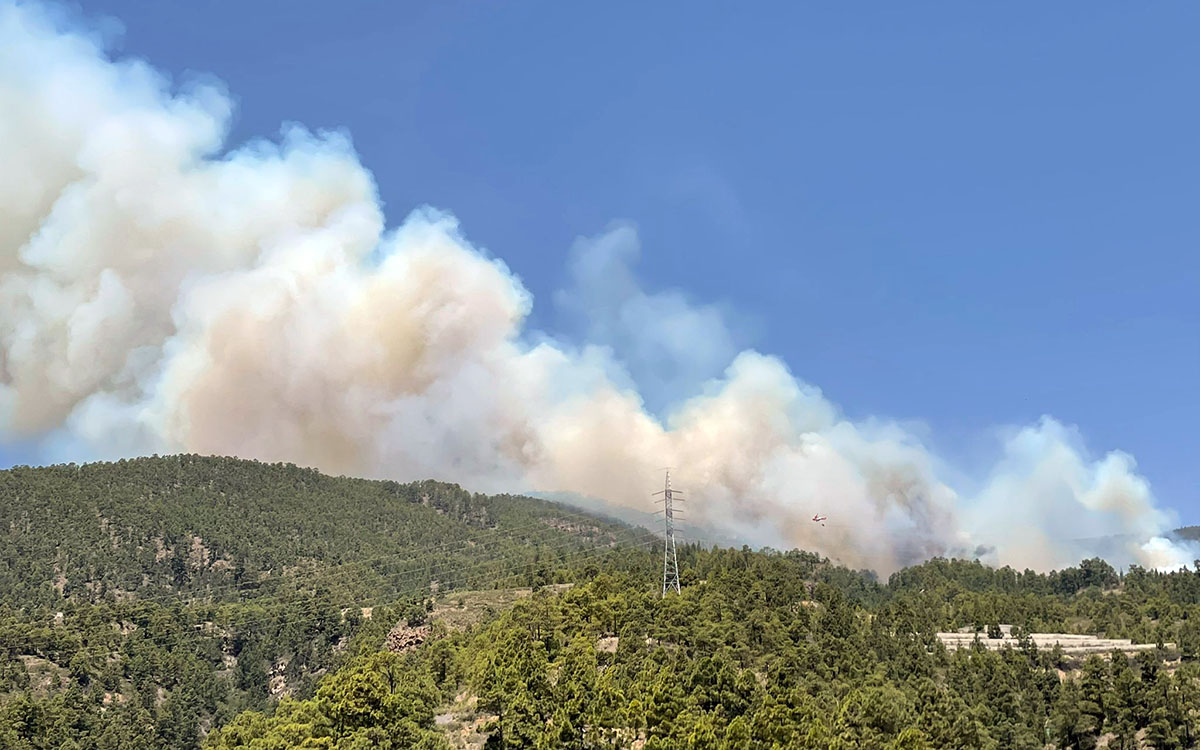 El Gobierno de Canarias declara el nivel 2 del INFOCA y asume la dirección del incendio forestal en Arico