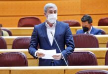 Fernando Clavijo, senador por la Comunidad Autónoma de Canarias./ Cedida.