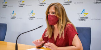 Rosa Dávila, diputada autonómica de CC-PNC por Tenerife./ Cedida.