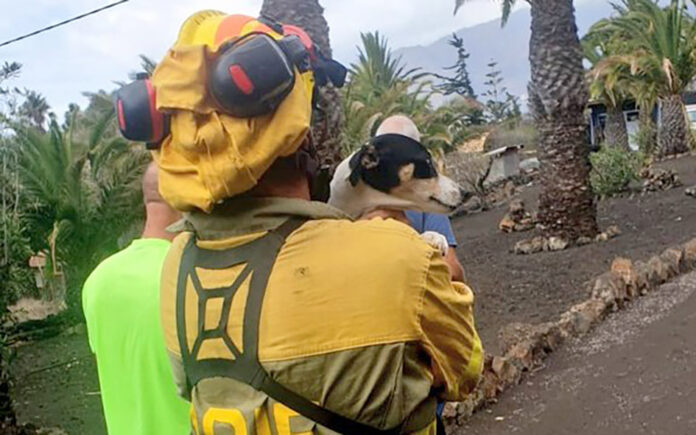 BRIF La Palma, evacuación día 23 de septiembre./ Twitter @AT_Brif