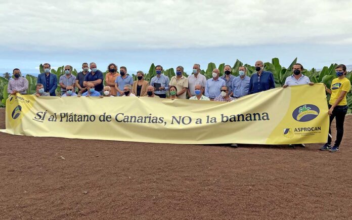 Asamblea General de la Asociación de Organizaciones de Productores de Plátanos de Canarias (ASPROCAN)./ Cedida.