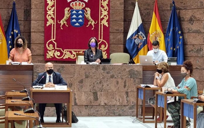 Rafael Yanes expone el Informe Extraordinario sobre Centros de Atención Residencial para personas mayores en Canarias./ Cedida.