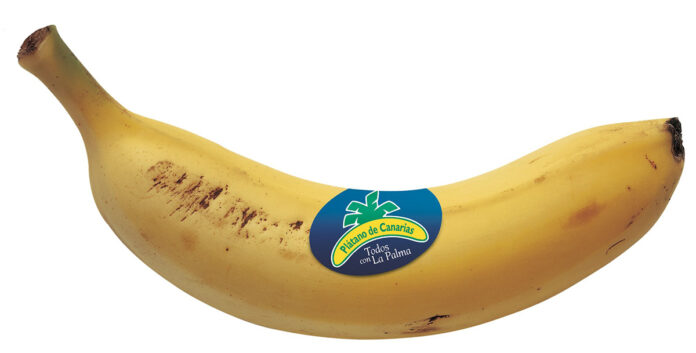Plátano de Canarias: 