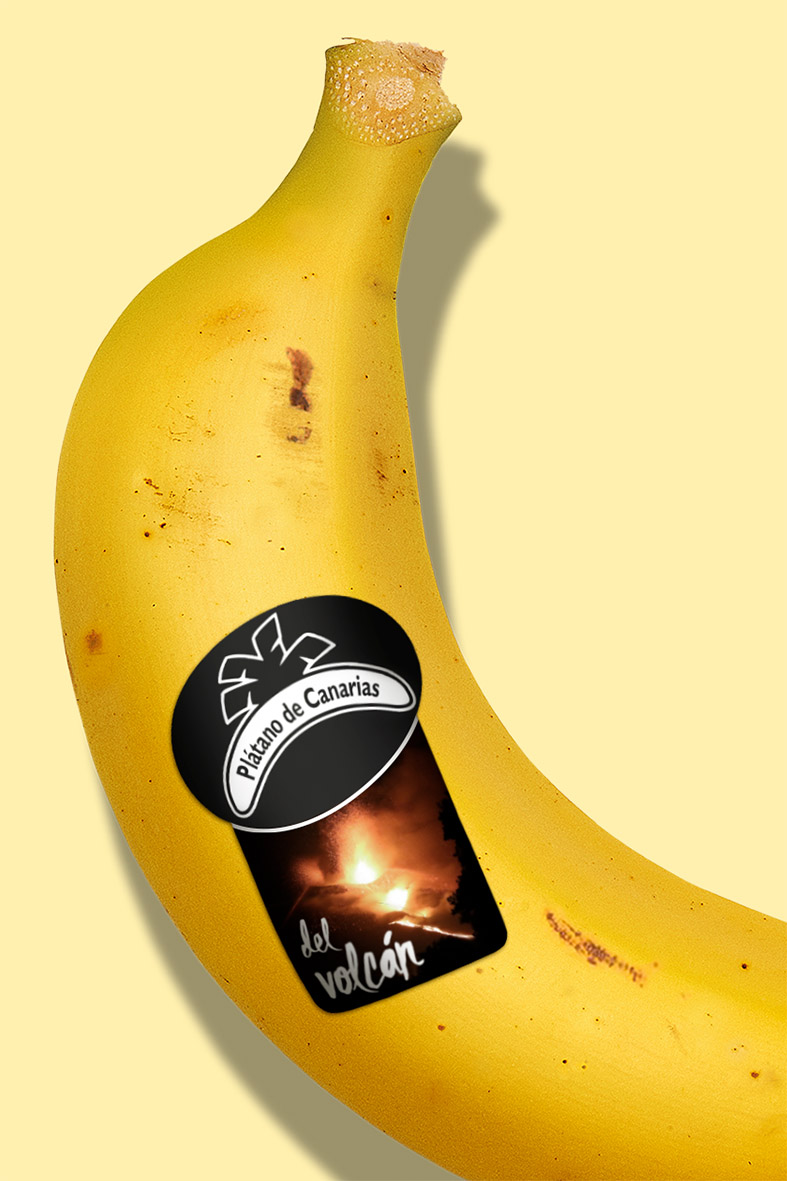 Etiqueta especial de Plátano de Canarias “del Volcán” para los plátanos afectados por la ceniza 