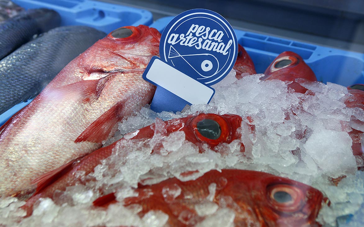 CC-PNC denuncia la pérdida de dos subvenciones para el sector pesquero por las deudas con Hacienda