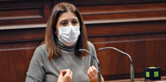 Carmen Hernández, parlamentaria del grupo canarista progresista./ Cedida.