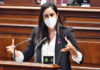 Vidina Espino, portavoz del Grupo Mixto en el Parlamento de Canarias./ Cedida.