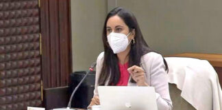 Vidina Espino, portavoz del Grupo Mixto en el Parlamento de Canarias./ cedida.