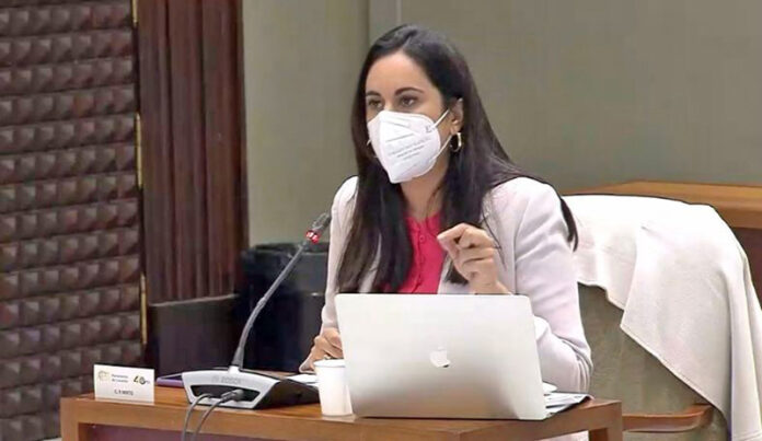 Vidina Espino, portavoz del Grupo Mixto en el Parlamento de Canarias./ cedida.