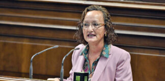 Pino González, diputada del Grupo Parlamentario Socialista por Gran Canaria./ Cedida.
