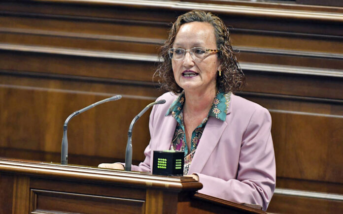 Pino González, diputada del Grupo Parlamentario Socialista por Gran Canaria./ Cedida.