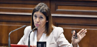 Carmen Hernández, parlamentaria de Nueva Canarias./ Cedida.