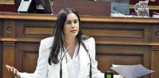 Vidina Espino, portavoz del Grupo Mixto en el Parlamento./ Cedida.