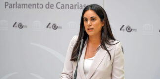 Vidina Espino, diputaada del Grupo Mixto en el Parlamento de Canarias./ Cedida.