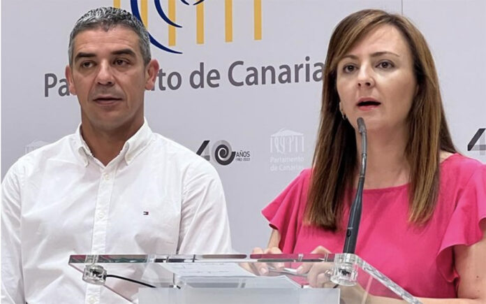 Nieves Lady Barreto y Narvay Quintero, diputados del Grupo Nacionalista Canario./ Cedida.
