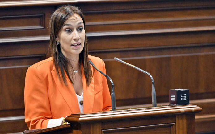 Nira Fierro, presidenta del Grupo Parlamentario Socialista./ Cedida.