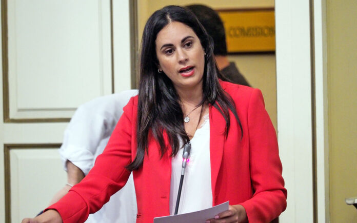 Vidina Espino, portavoz del Grupo Mixto en el Parlamento de Canarias./ Cedida.